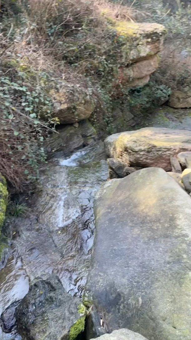 现在去北京还需要核酸检测吗？自己开车游戏画面